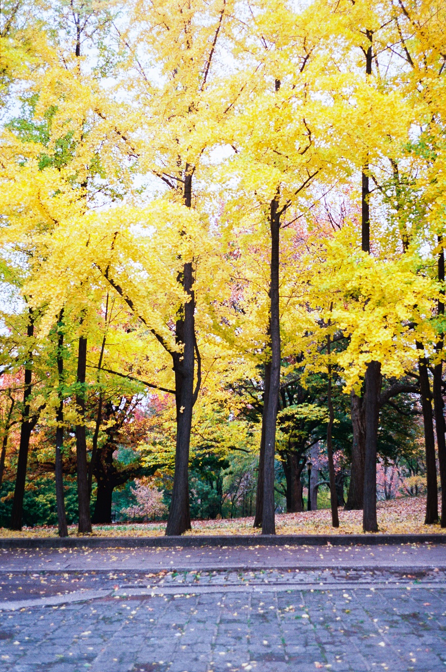 Photographs by Bo Whitelaw — frame 2