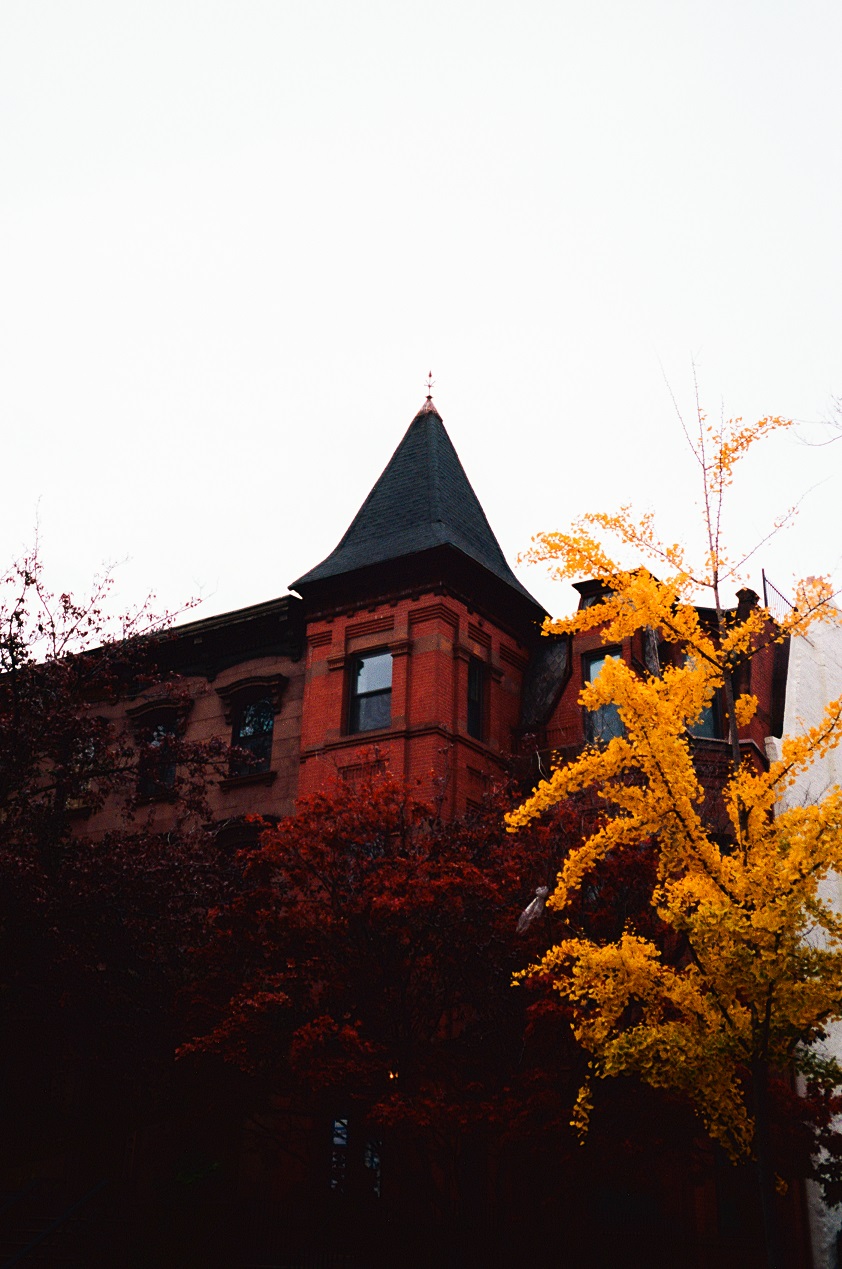 Photographs by Bo Whitelaw — frame 6