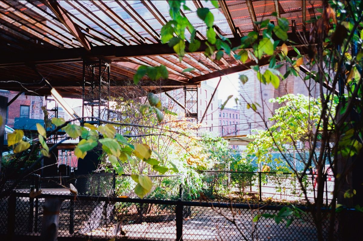 Photographs by Bo Whitelaw — frame 7