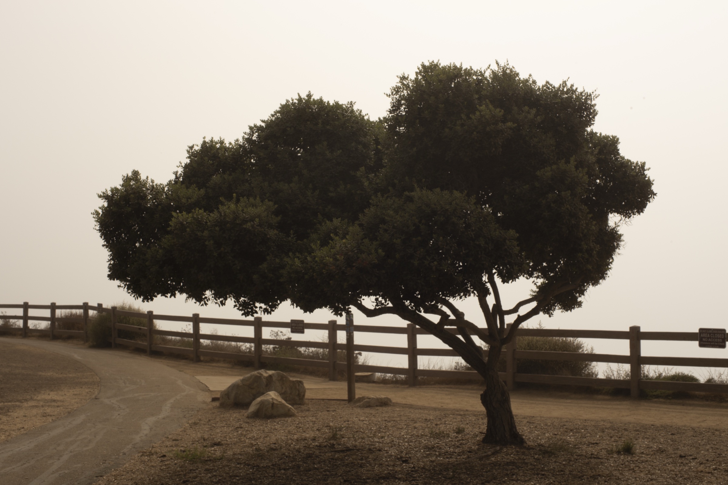 Photographs by Kevin Jackson — frame 5