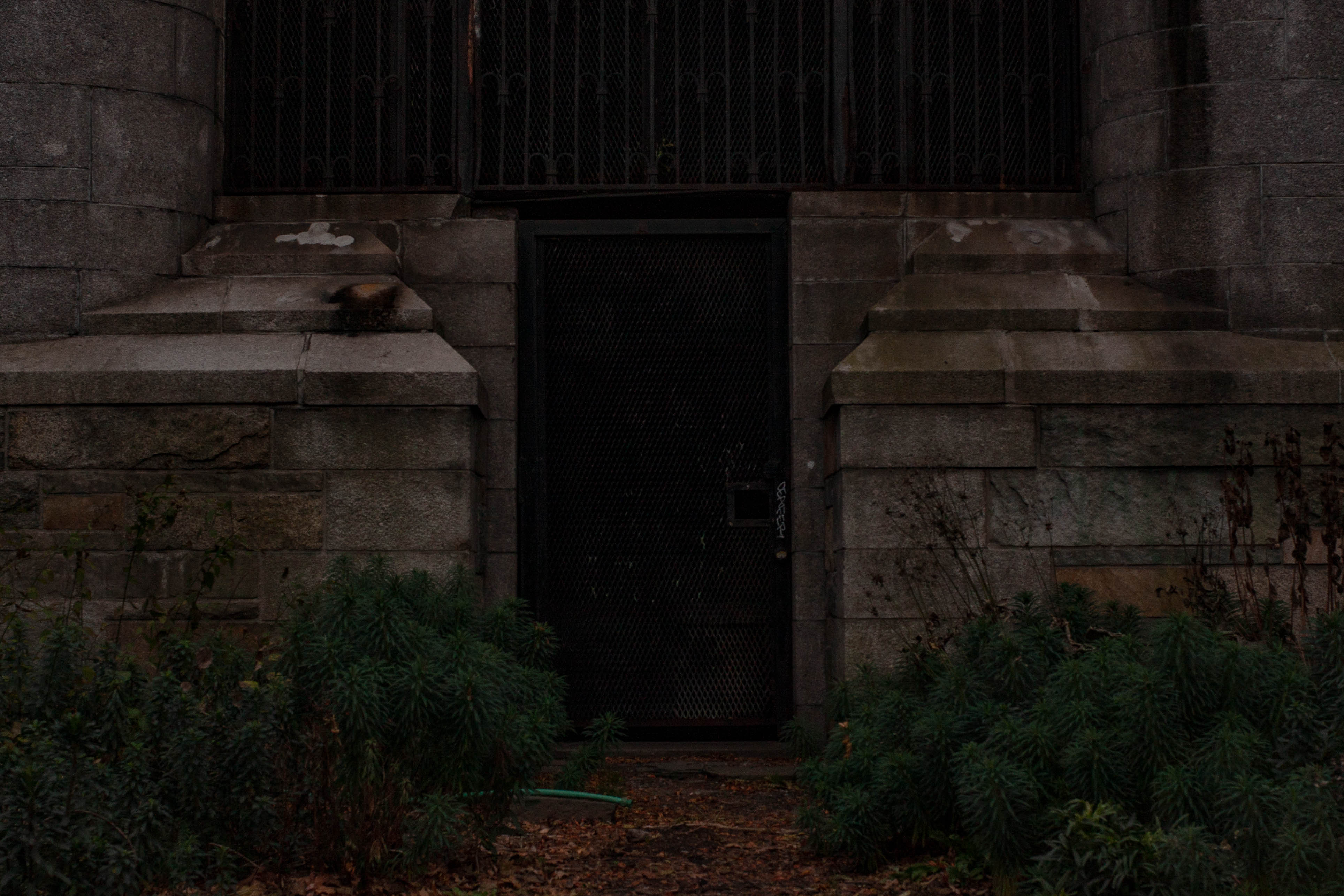 Photographs by Kevin Nolan Johnson — frame 6
