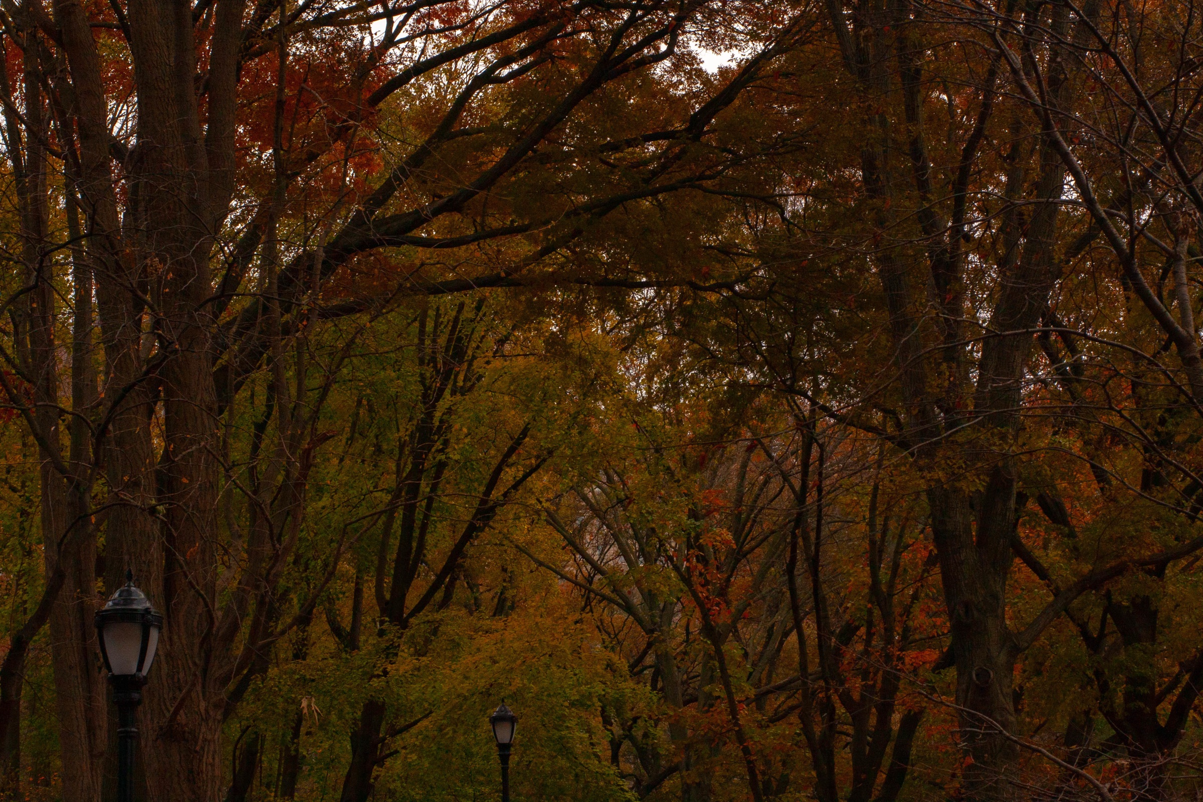 Photographs by Kevin Nolan Johnson — frame 7