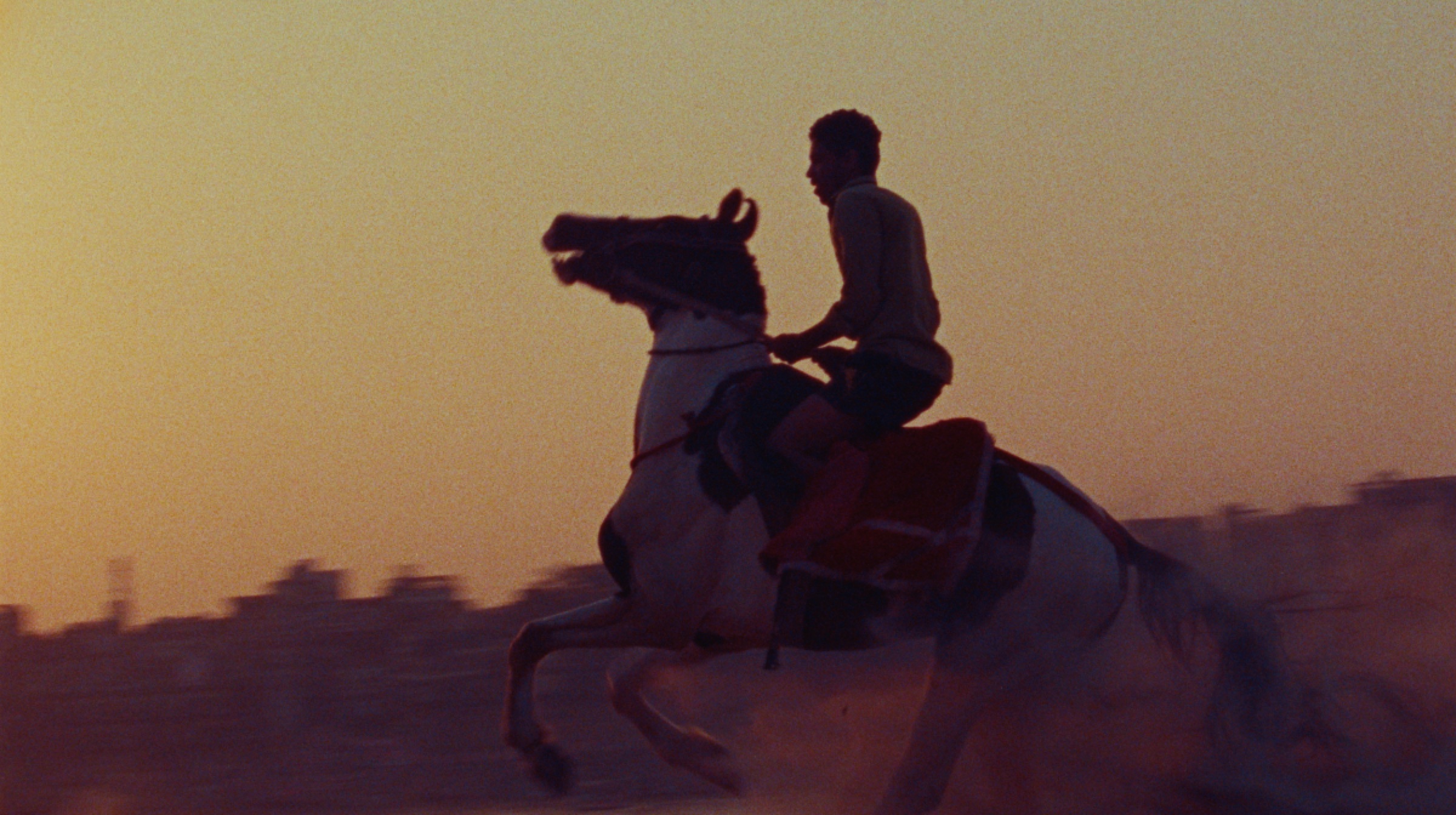 Stills From Pilgrims — frame 8