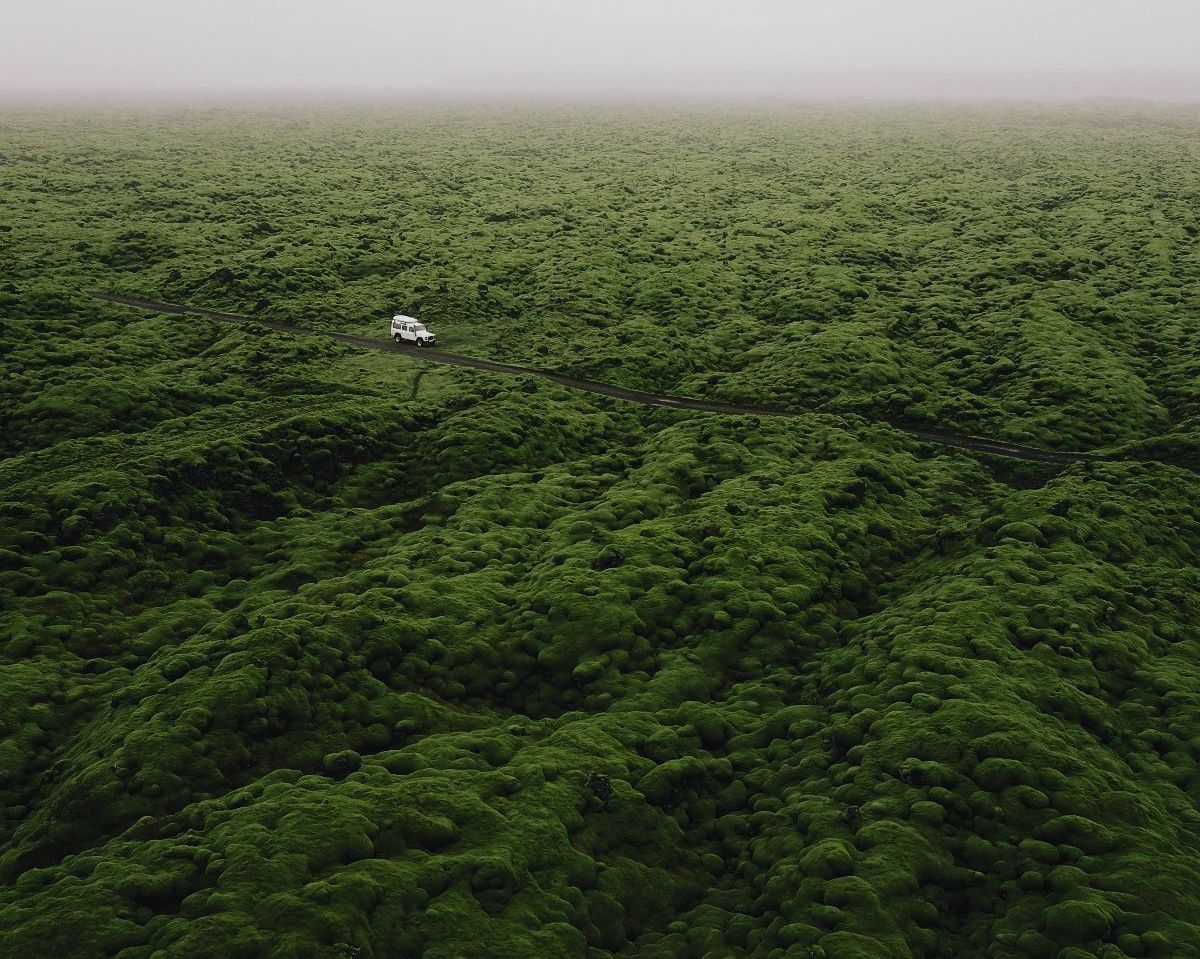 Photographs by Riley Dengler — frame 6