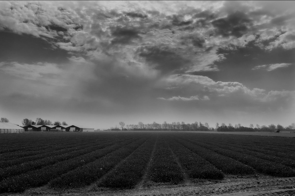 Photographs by JORGE RIVERA — frame 1