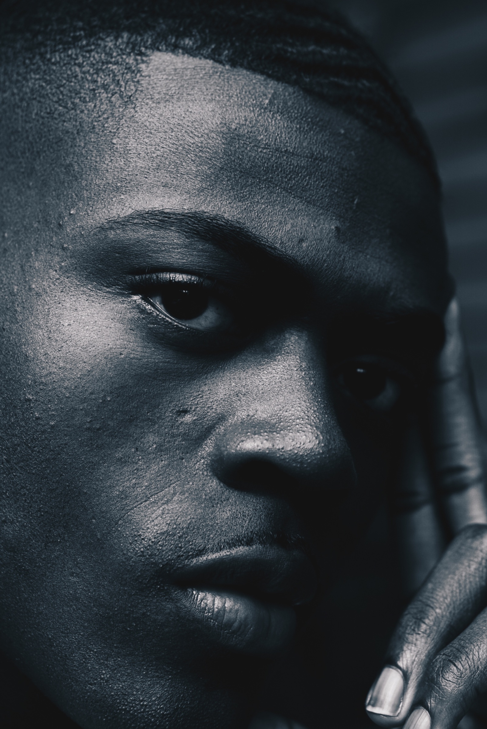 Black Boy Fly — frame 2